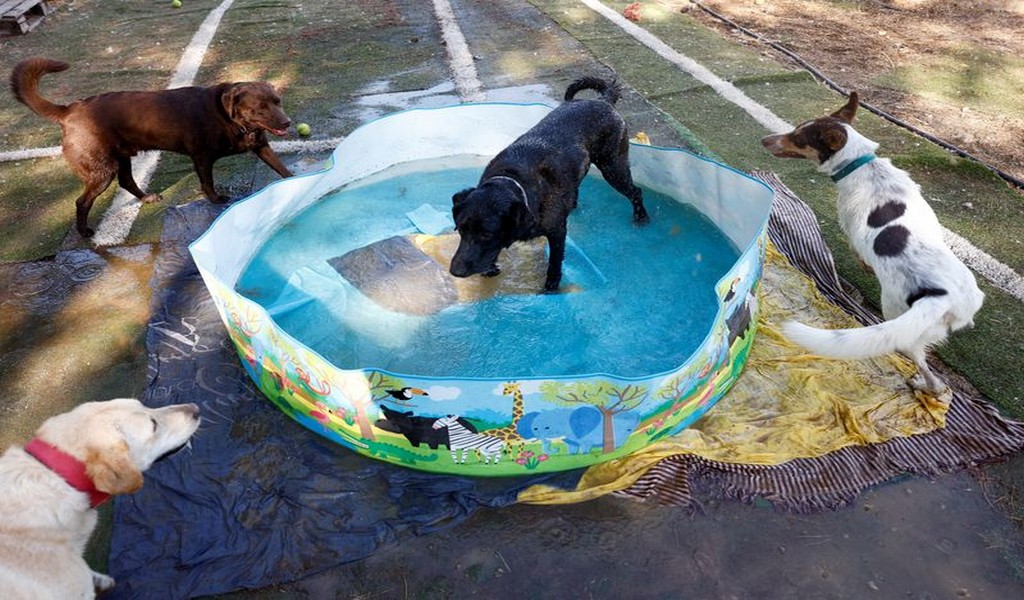 España suda bajo temperaturas que alcanzan los 43 grados en una segunda ola de calor