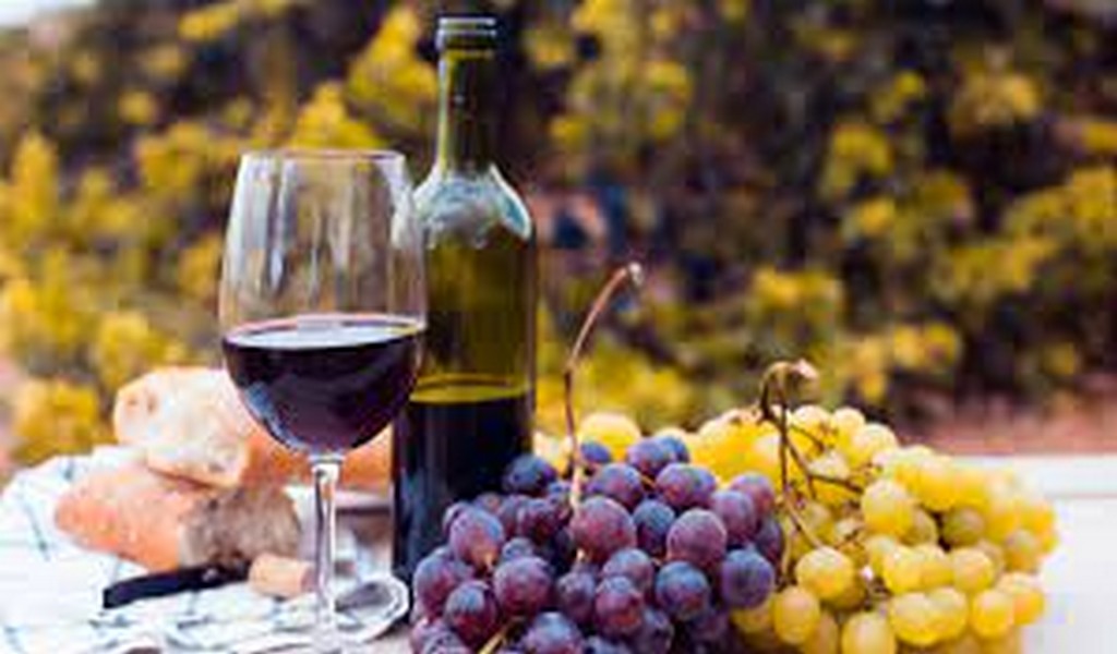 Bonarda, la cepa de vinos comunes que pasó a ser protagonista de vinos de calidad